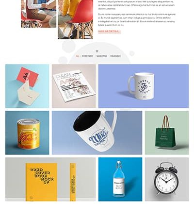 Project Page 1